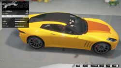 カスタム・ルーフ2