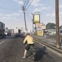 翼を閉じた状態