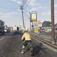 翼を広げた状態